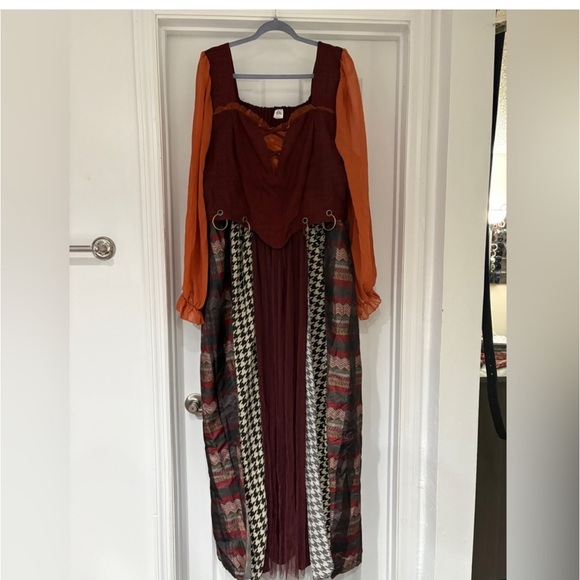 Hocus Pocus Adult Mary Sanderson Costume with Wig Plus EUC size 2x - Picture 1 of 6